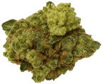 Afghan Kush