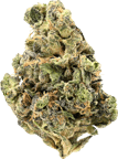 Siggis Pfefferminze (Kush Mints F2 x Jealousy)