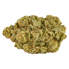 Inzane in the Membrane