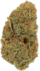 Jack Herer