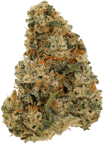 Super Lemon Haze