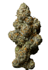 Glitterbomb