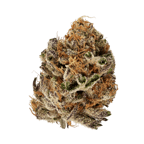 Citron Biker Cookies