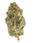 God Cherry Bud