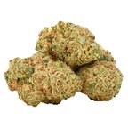 Durban Gorilla