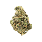 Siggis Pfefferminze (Kush Mints F2 x Jealousy)