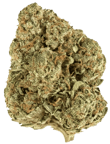 OG Kush