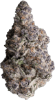 Super Buff Cherry