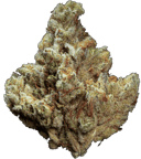 G13 Ultra