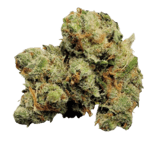 Jack Herer