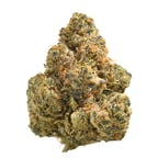 Orange Cream