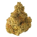 Ultra Jack