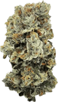 Motor Breath