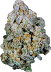 Blue Monkey