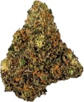 Chocolate Mint OG 2.0