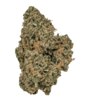 Gelato OG