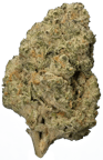 Black Cherry Punch