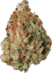 Haymaker Haze