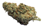 Gelato 44
