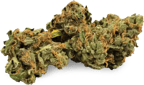 Island Sweet Skunk