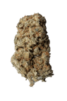 Mango Kush