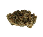 Amnesia Balanced