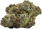 Gelato33