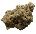 Blue Monkey