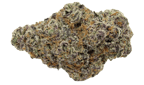 Glitter Bomb