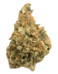 K1