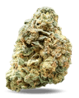 OG Kush Breath