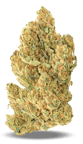 Meringue 64