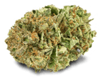 Pink Kush
