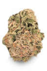 Galaxy Walker OG