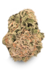 Galaxy Walker OG