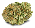 Pink Kush