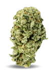 Blueberry