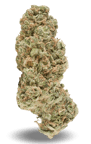 White Gelato
