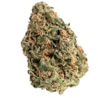 Amnesia OG