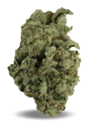 Blueberry