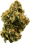 Lemon Cherry Gelato