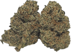 Northern Lime Pie