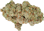 Ocean Grown Cookies