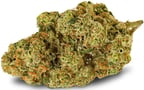Electric Honey Dew