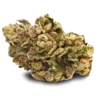 Farm Gas