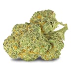 Chemango Kush