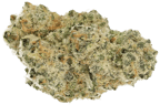 Polar Cookies