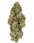 Platinum Oranges