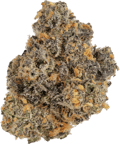 Rainbow Sherbert 11