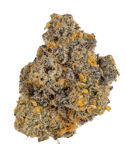 Rainbow Sherbert #11